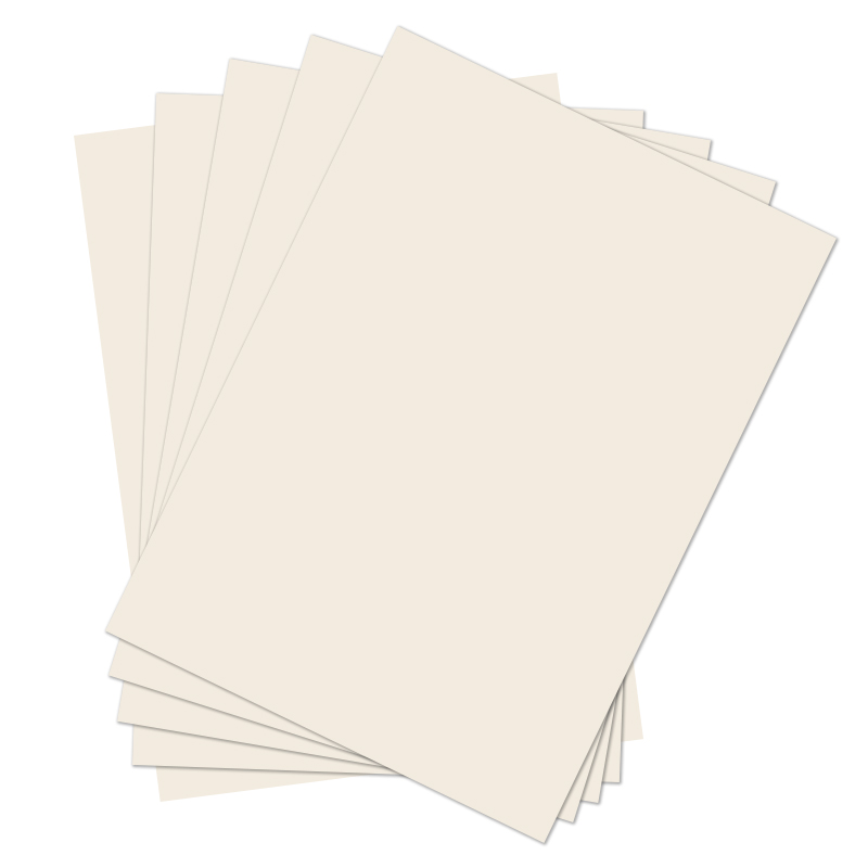 PE Coated Base Paper