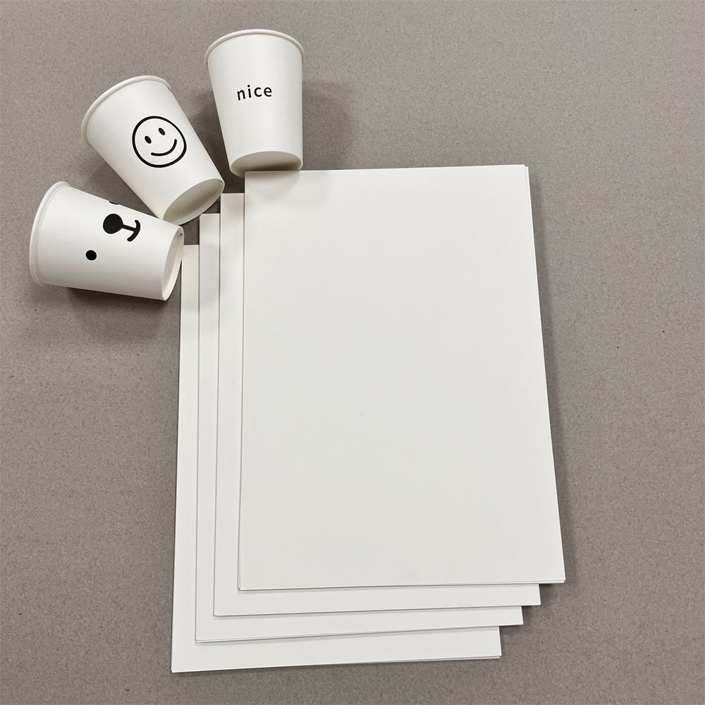 PE Coated Base Paper
