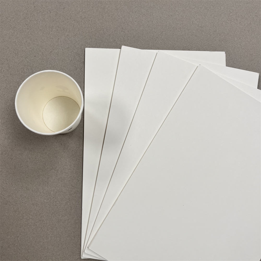 PE Coated Base Paper